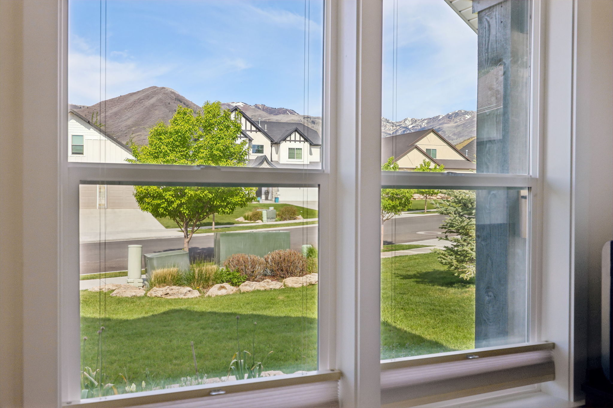Double-hung windows featuring white frames, a distant mountain range, and a landscaped foreground with mature trees and green lawn