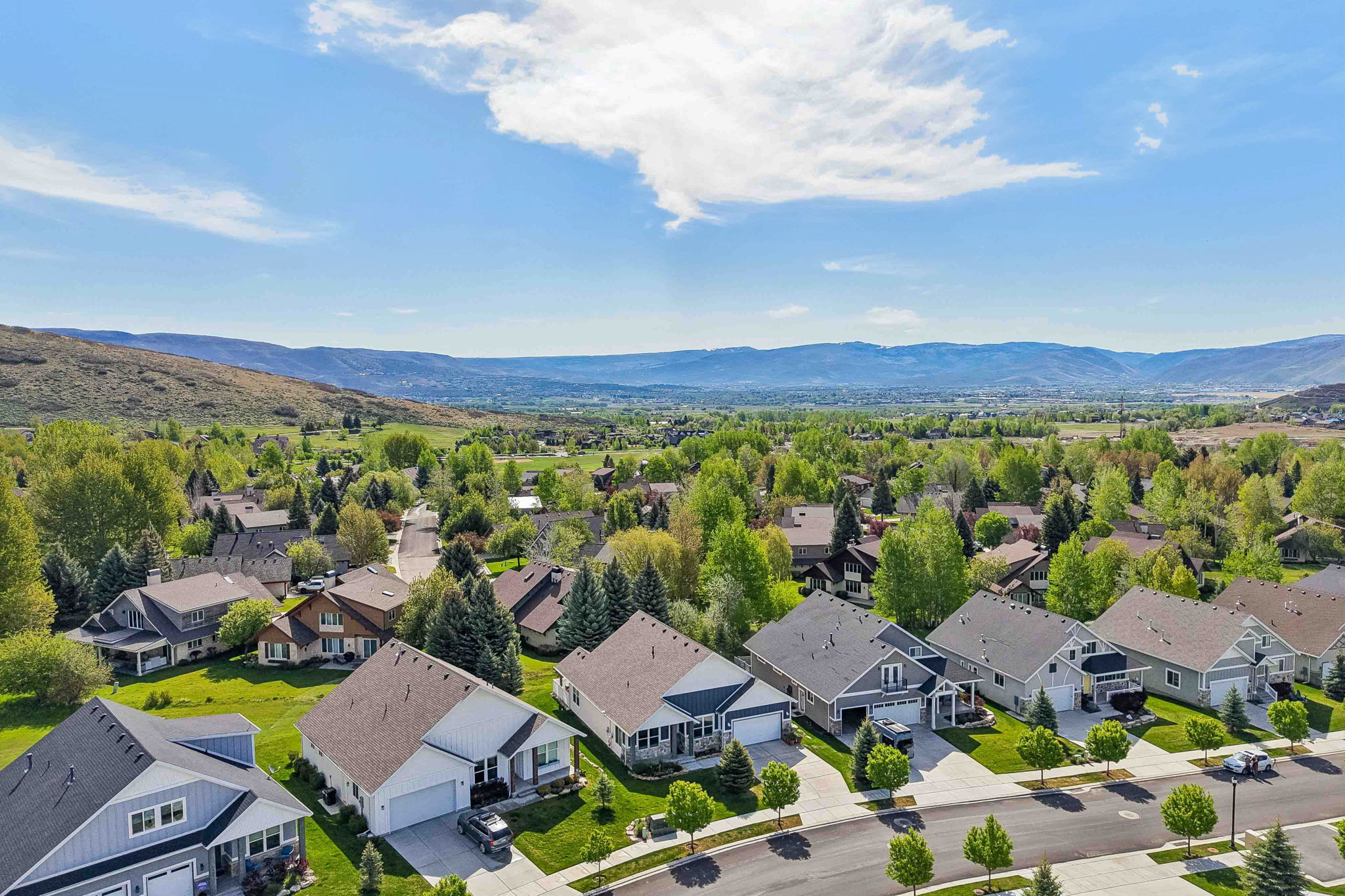 Aerial perspective showcasing a residential neighborhood with varied architectural styles, mature trees, and landscaping