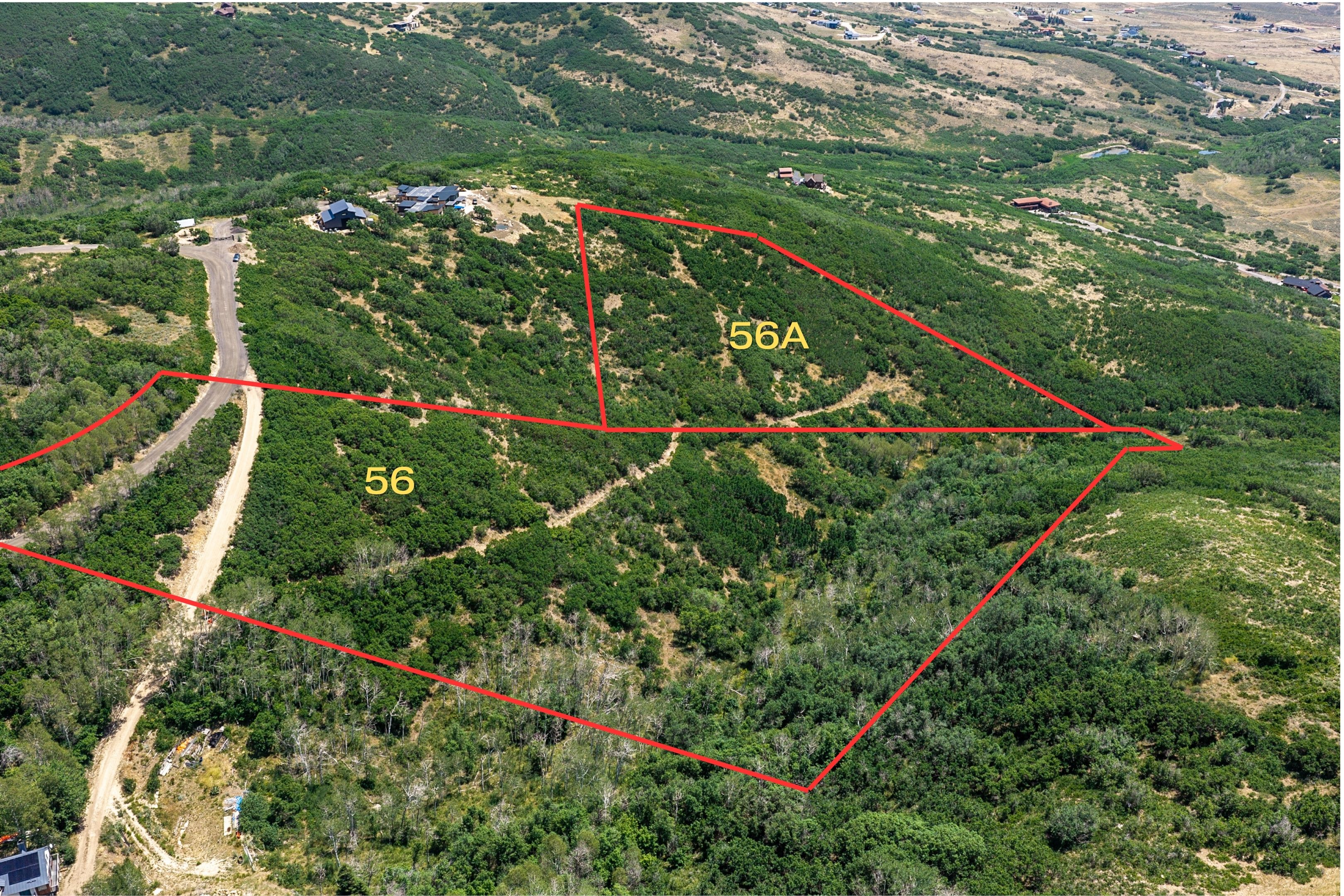 Expansive undeveloped land parcels with natural tree coverage and a gentle slope