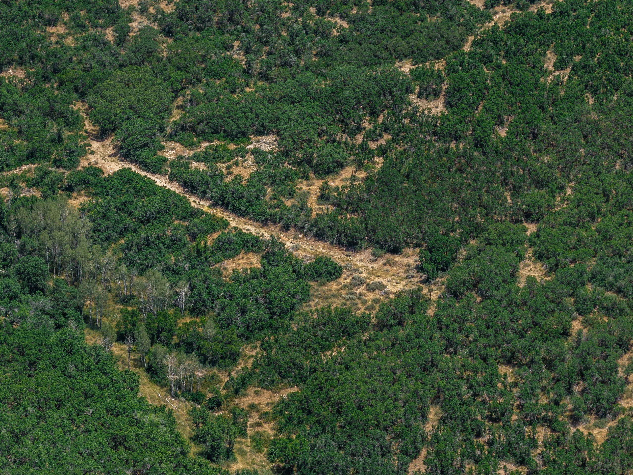 Expansive acreage featuring dense green foliage and scattered dry terrain