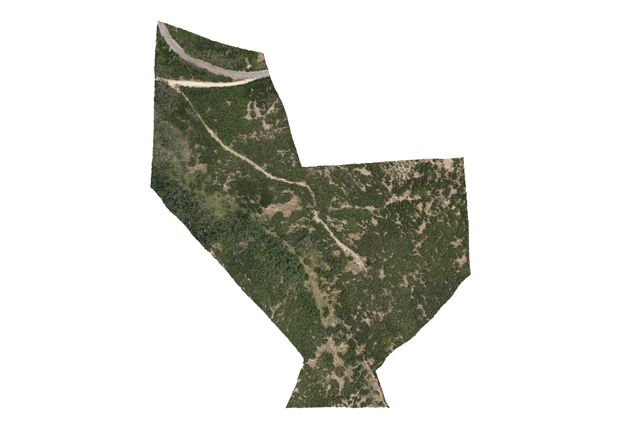 Aerial Survey. Illustrating the property's topography and vegetation