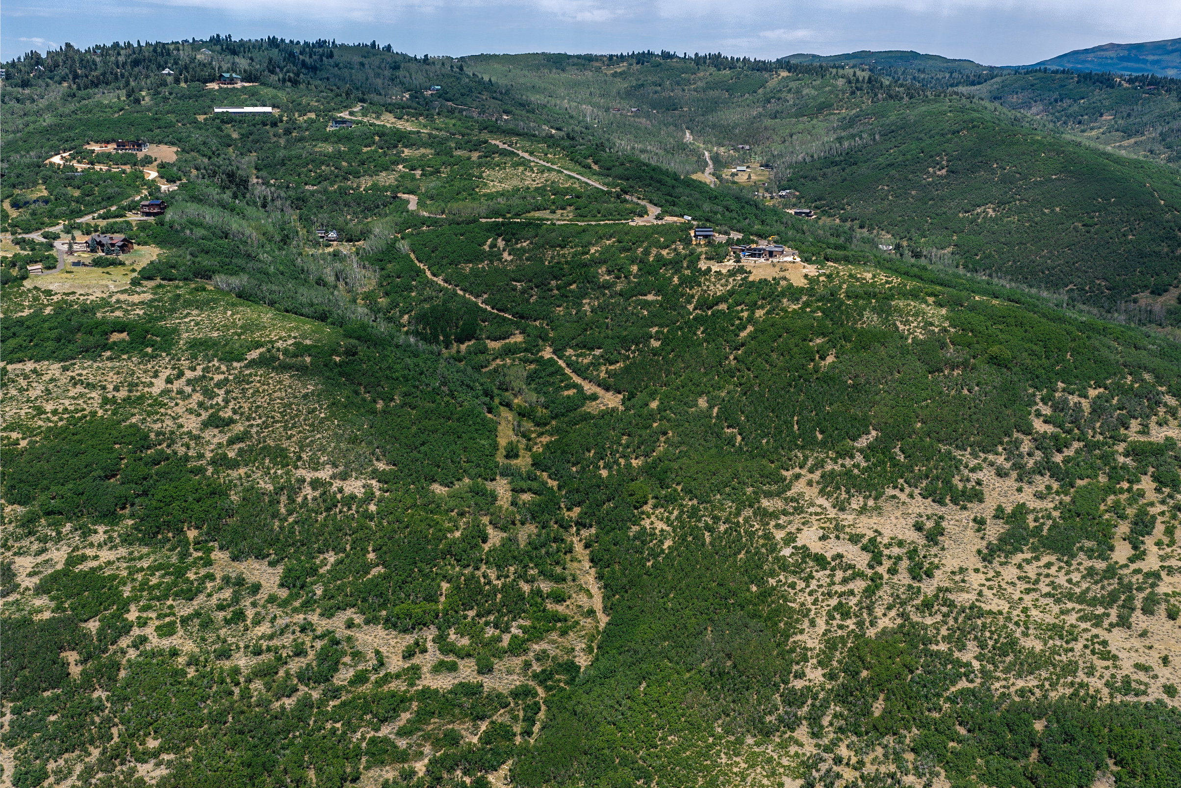 Expansive hillside property featuring diverse natural foliage and distant structures