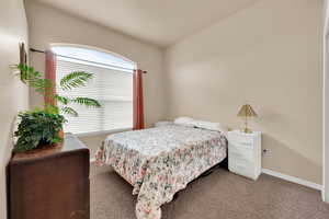 Bedroom with  vaulted ceiling