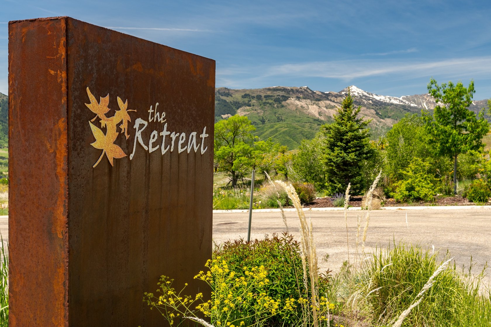 View of mountain background