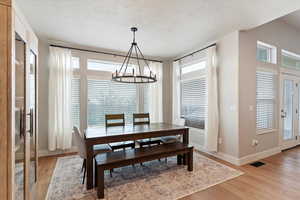 Dining room with light wood-style floors, a textured ceiling, hanging lights, and healthy amount of natural light