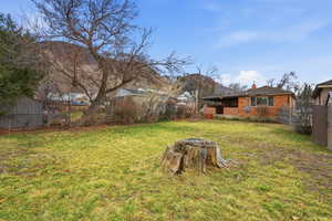 View of yard featuring a mountain view and a patio