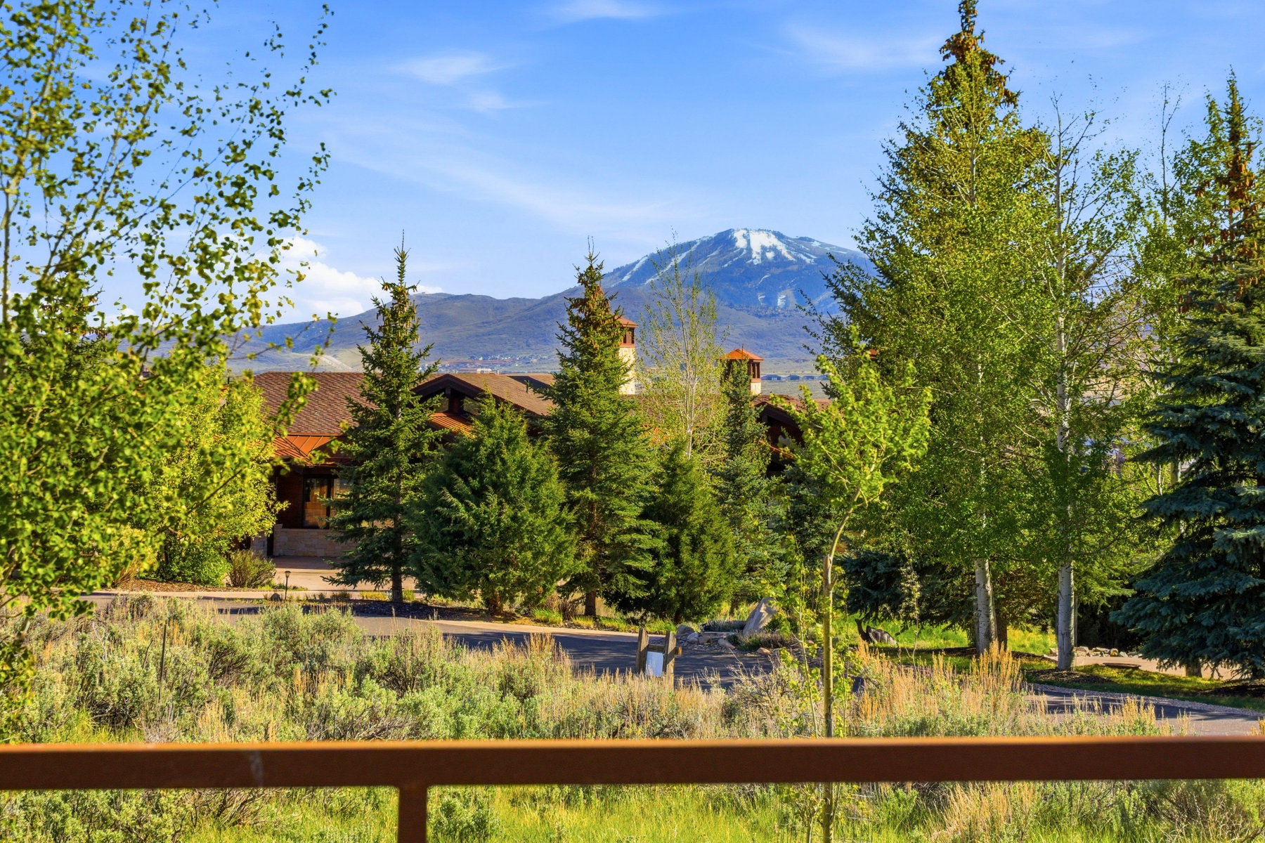 Mountain backdrop with a snow-capped peak