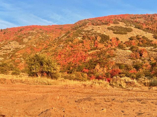Mountain view