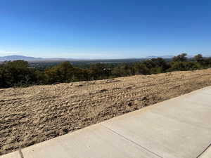 View of yard with a view of rural / pastoral area and a mountain view