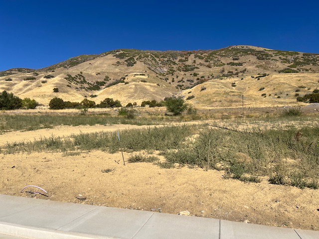 View of mountain background