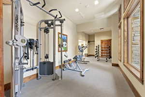 Workout room featuring recessed lighting and carpet