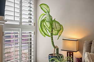 Shutters and plenty of light