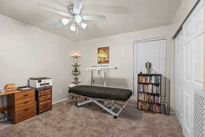 Carpeted office space/bedroom  featuring a textured ceiling, ceiling fan