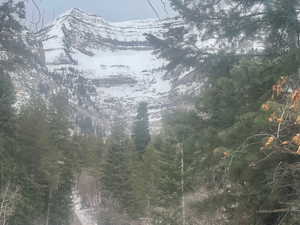 View of mountain background