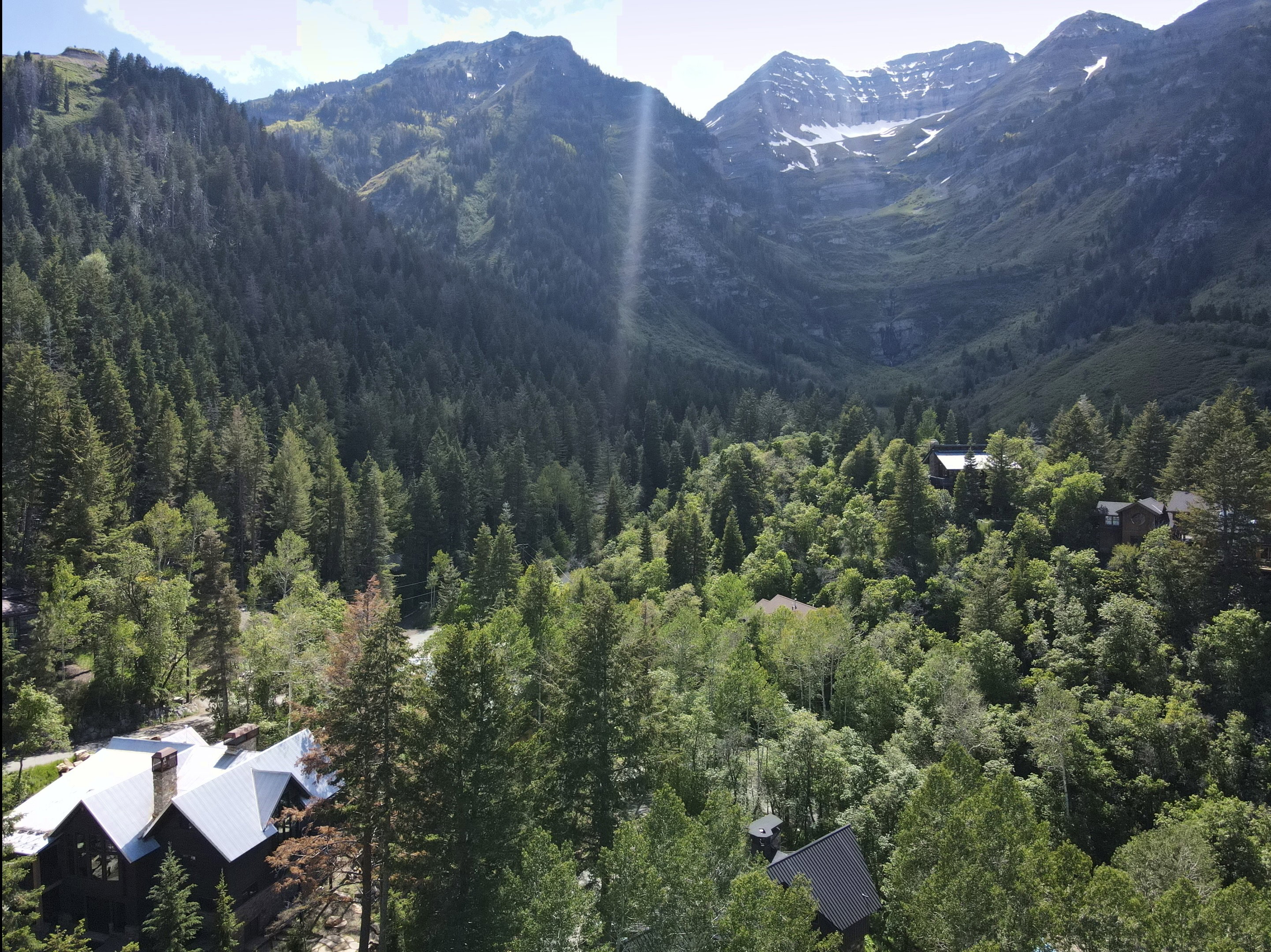 Expansive mountain setting featuring dense evergreen forests and snow-capped peaks