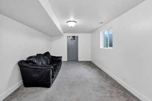 Living area with carpet