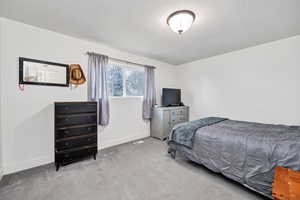 Large carpeted bedroom