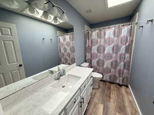 Bathroom featuring vanity, dark wood-type flooring, and curtained shower