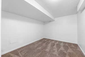 Empty room featuring carpet floors and a textured ceiling