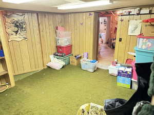 Recreation room featuring carpet flooring and wooden walls