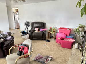 Living room with light carpet