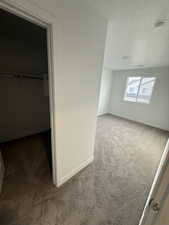 Unfurnished bedroom with light colored carpet, a textured ceiling, and a spacious closet