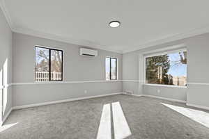 Spare room with carpet flooring and crown molding