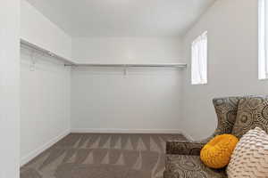 Walk in closet with carpet