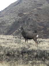 Exterior view of a mountainous background