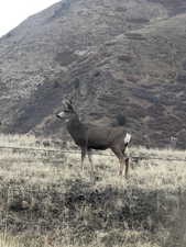 Exterior view of a mountainous background