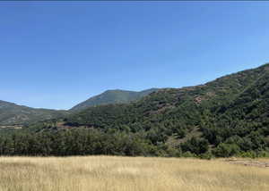 View of mountain backdrop featuring a heavily wooded area