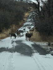 View of asphalt street