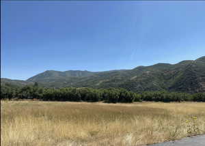 View of mountain background featuring rural landscape and a heavily wooded area