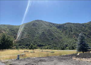 View of mountain background