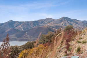 View of mountain background