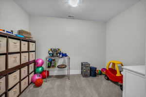 Game room featuring carpet flooring and a textured ceiling