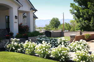 View of yard with a mountain view