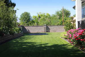 View of fenced backyard