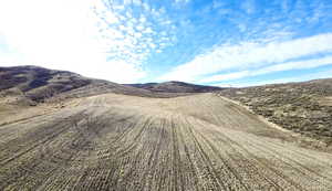 Looking west near the top of the property