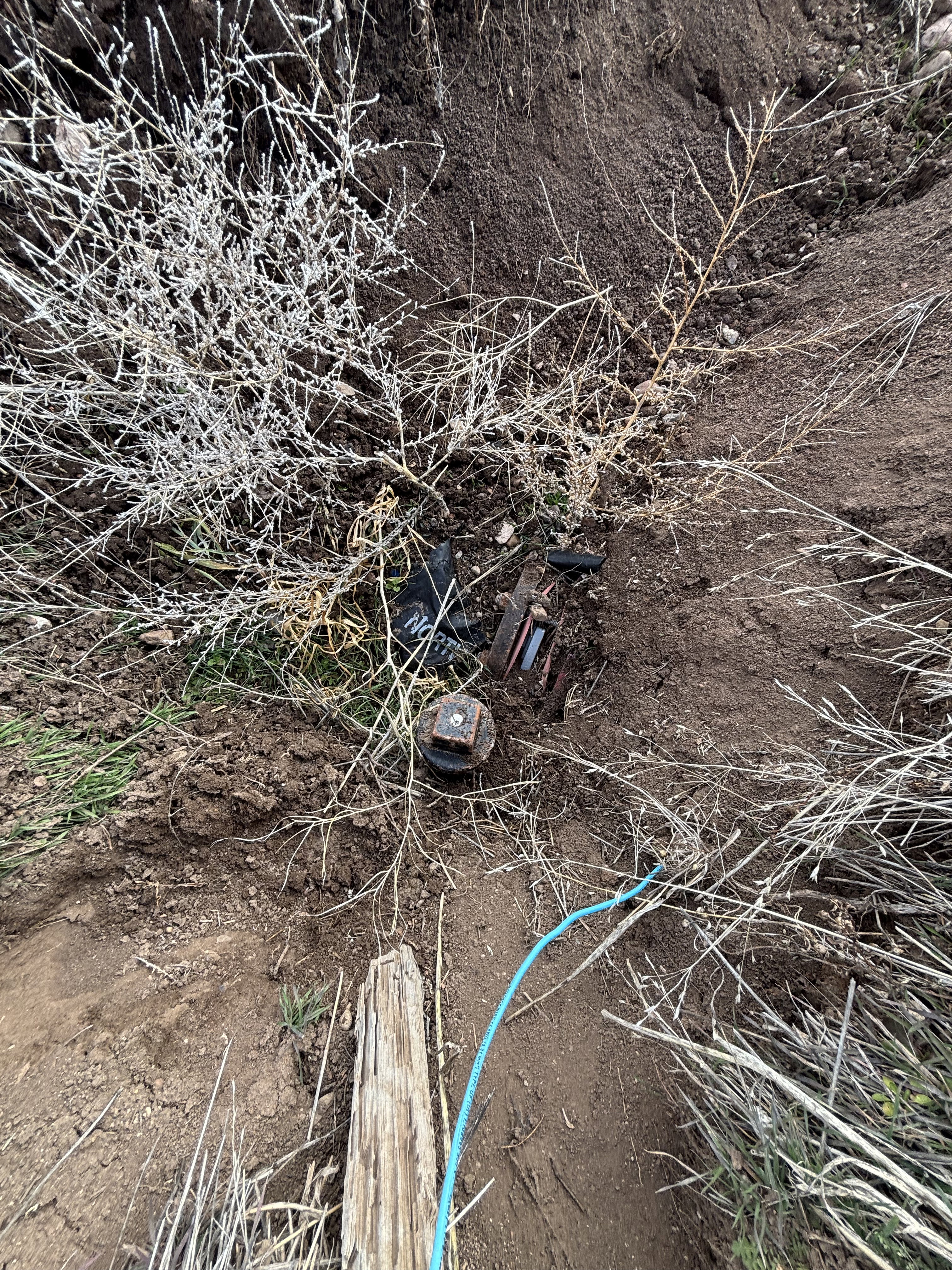 Irrigation on north side of property