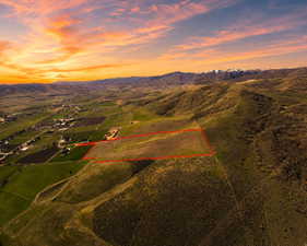 Expansive undeveloped land parcel with marked boundaries
