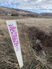 Irrigation on north side of property