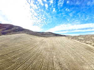 Looking west near the top of the property