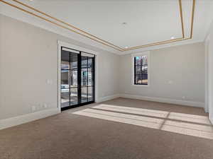 Spare room featuring light carpet, a tray ceiling, and recessed lighting