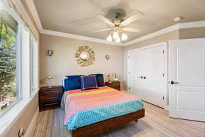 Bedroom featuring crown molding, a closet, wood finished floors, ceiling fan, and multiple windows