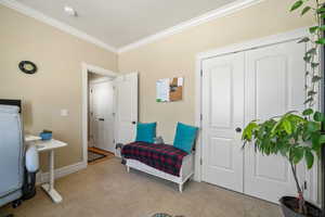 Sitting room featuring light carpet and ornamental molding