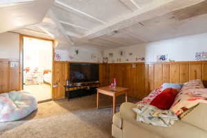 Carpeted living area featuring a textured ceiling, a wainscoted wall, and wood walls