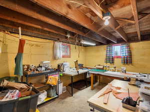 Unfinished Basement Bedroom