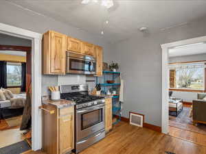 Kitchen featuring stainless steel appliances, light wood finished floors, light wood finish cabinetry, and ceiling fan