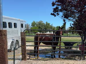 View of yard featuring an outbuilding and an exterior structure